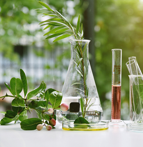 صناعة الزجاج والسيراميك